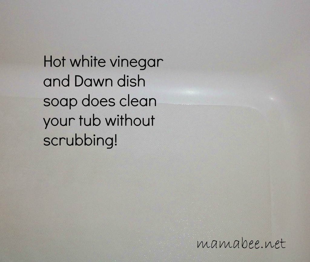 vinegar and Dawn DIY tub cleaner
