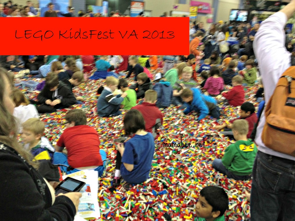 Lego kidsfest 2013 brick pile