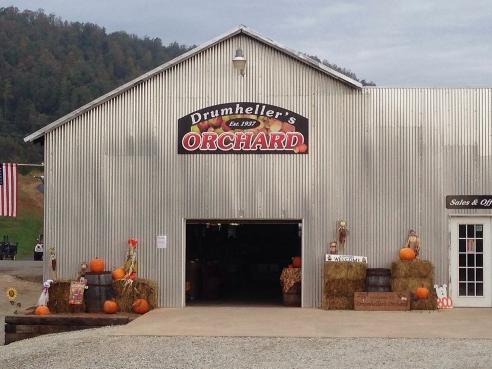 drumhellers orchard fall in VA